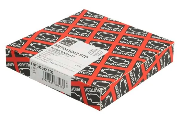 Set segmenti piston