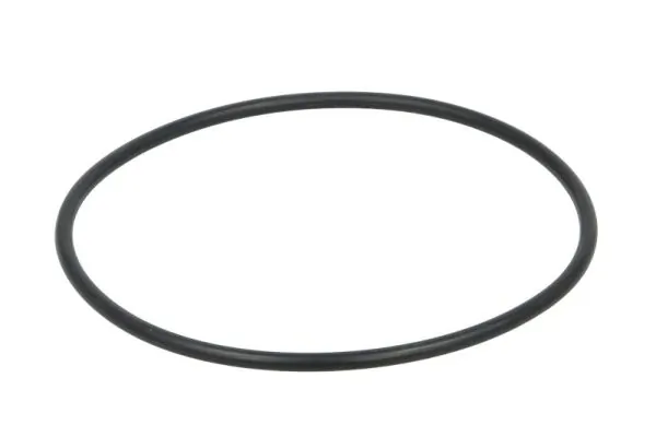 O-ring camasa cilindru