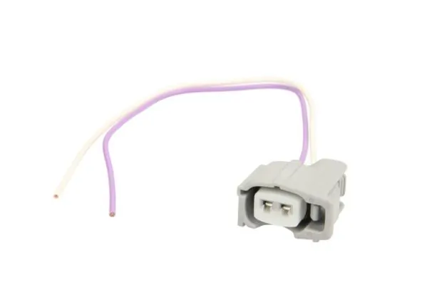 Stecher, injector