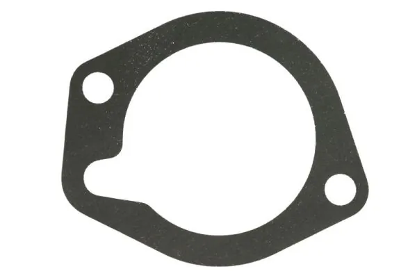 Garnitura termostat
