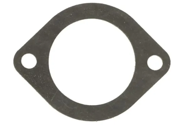Garnitura termostat