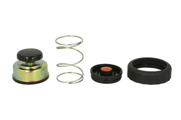 Set reparatie pompa combustibil