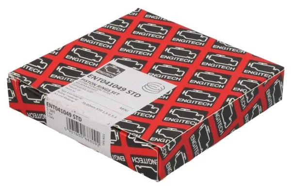 Set segmenti piston