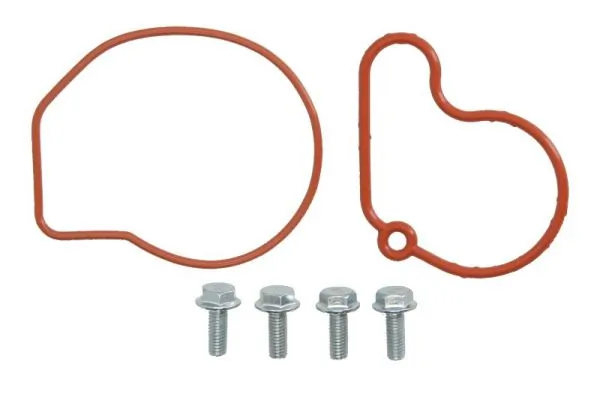 Set reparatie pompa vacuum (siste frana)