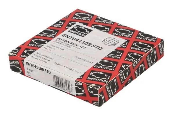 Set segmenti piston