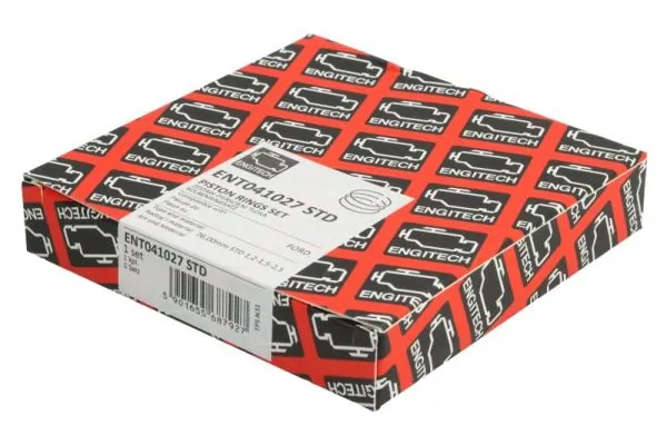 Set segmenti piston