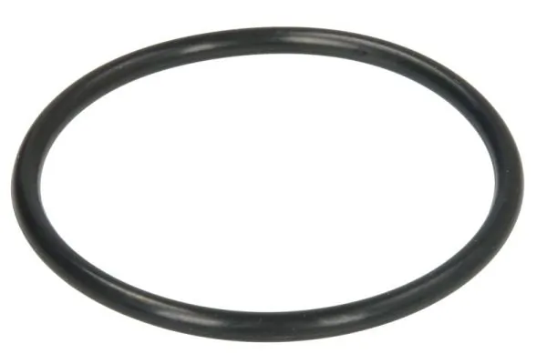 Garnitura termostat