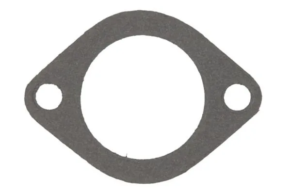 Garnitura carcasa termostat