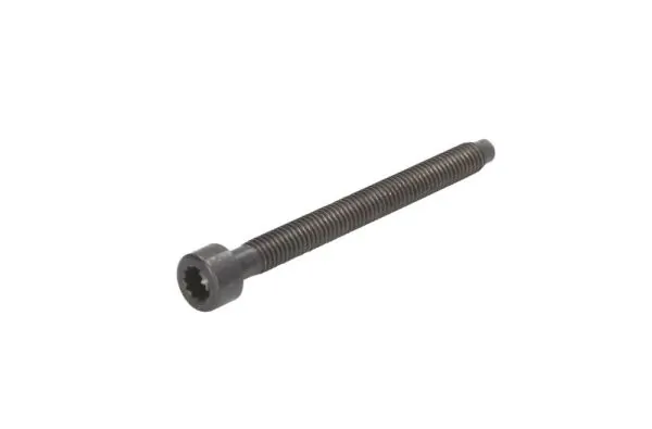 Surub suport injector