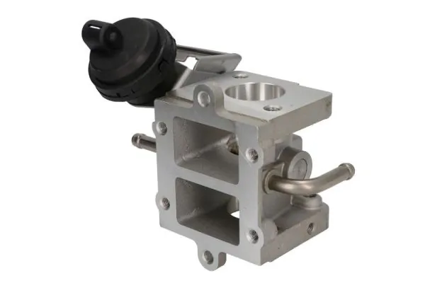 Supapa EGR