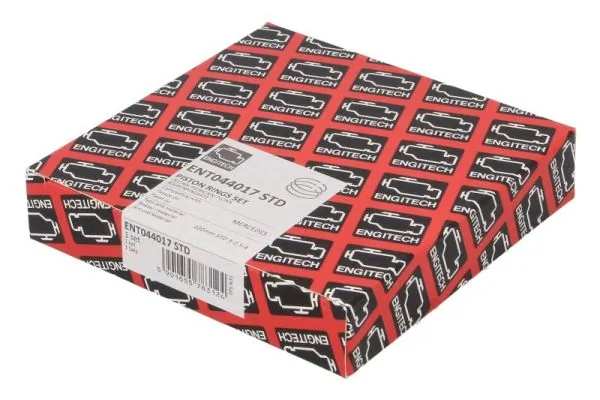 Set segmenti piston