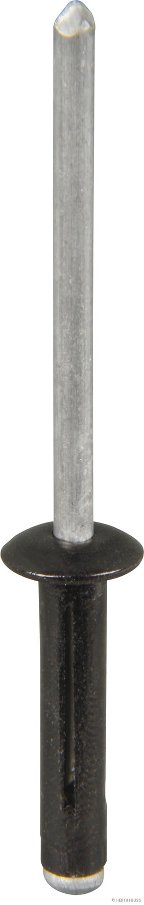 Nit