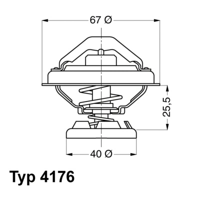 Termostat,lichid racire