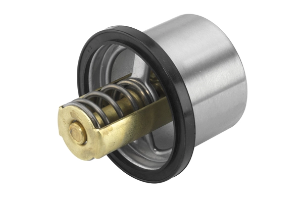 Termostat,lichid racire