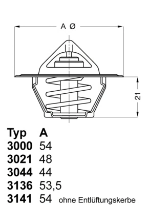 Termostat,lichid racire