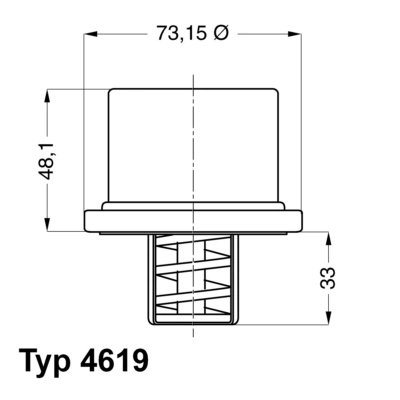Termostat,lichid racire