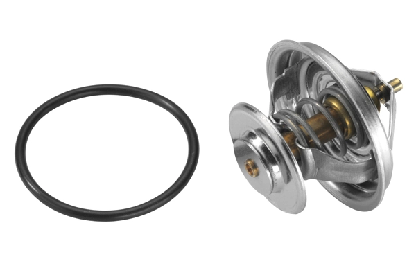 Termostat,lichid racire