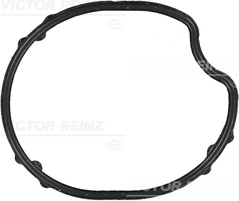 Garnitura carcasa termostat