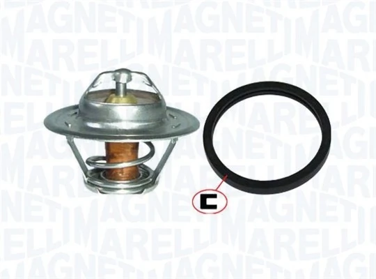Termostat lichid racire