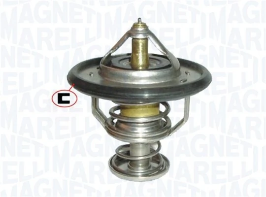 Termostat lichid racire