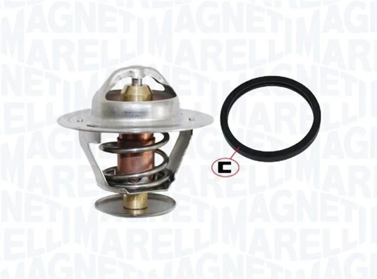 Termostat lichid racire