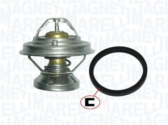 Termostat lichid racire