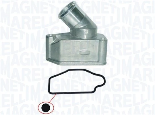 Termostat lichid racire