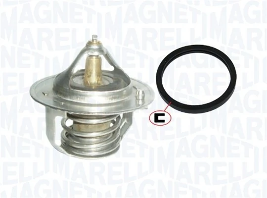 Termostat lichid racire
