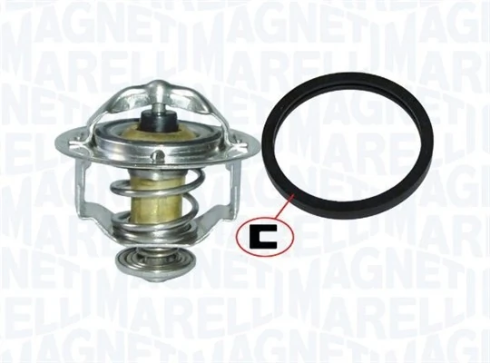 Termostat lichid racire
