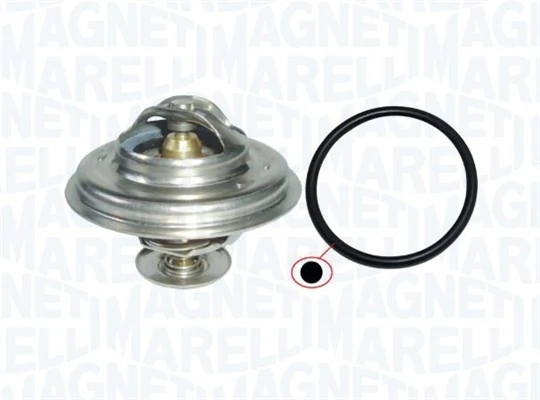 Termostat lichid racire