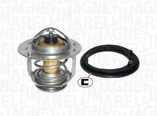 Termostat lichid racire