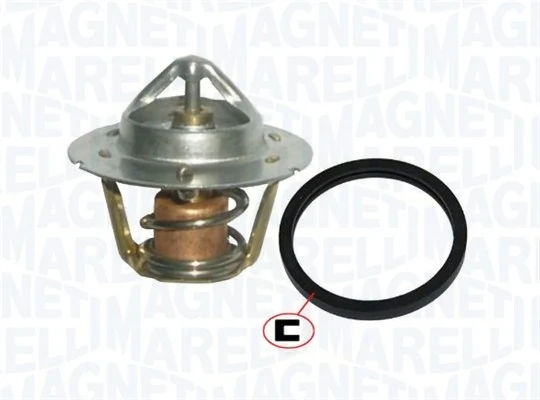 Termostat lichid racire
