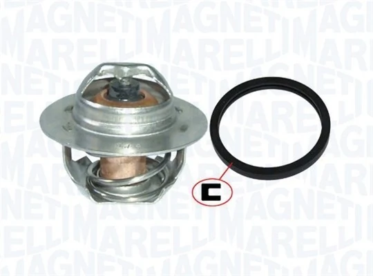 Termostat lichid racire