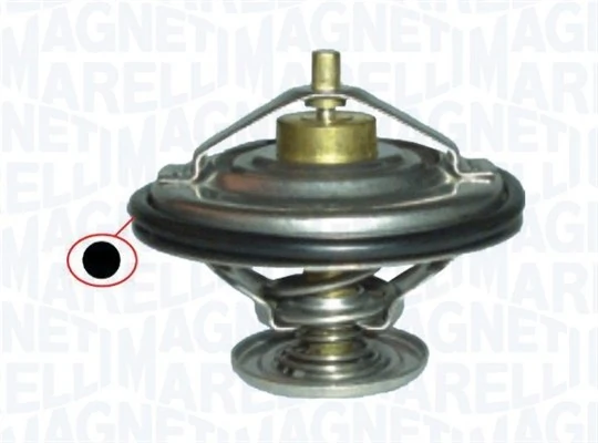 Termostat lichid racire