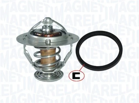 Termostat lichid racire