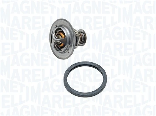 Termostat lichid racire
