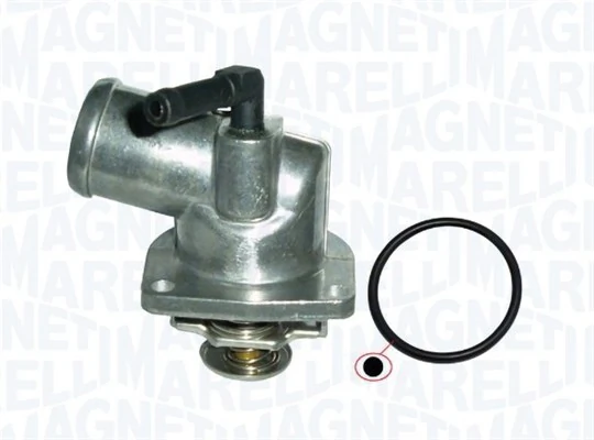 Termostat lichid racire