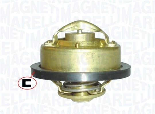 Termostat lichid racire