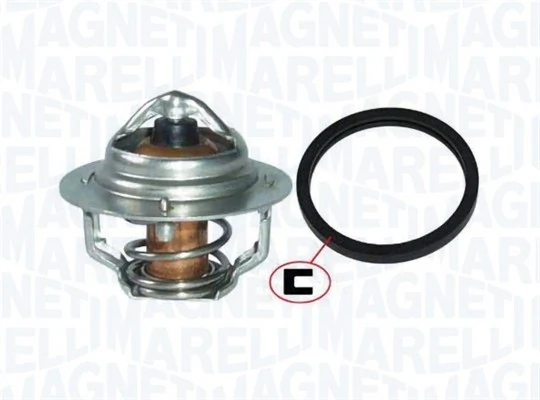 Termostat lichid racire