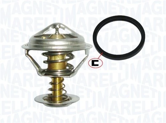 Termostat lichid racire