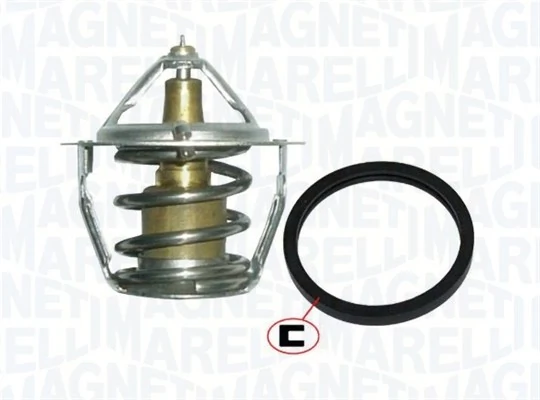 Termostat lichid racire