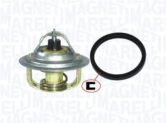 Termostat lichid racire