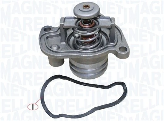 Termostat lichid racire