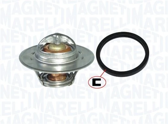 Termostat lichid racire