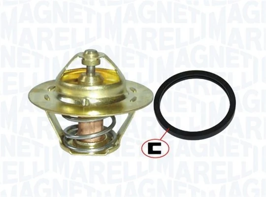 Termostat lichid racire