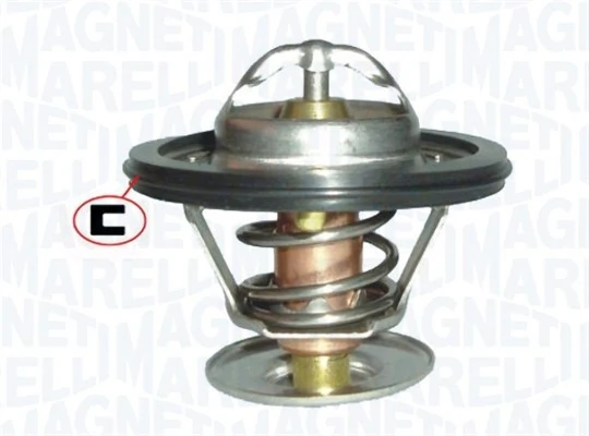 Termostat lichid racire