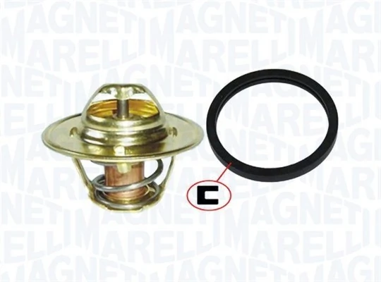 Termostat lichid racire