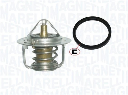 Termostat lichid racire