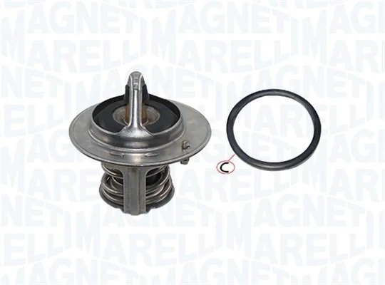 Termostat,lichid racire