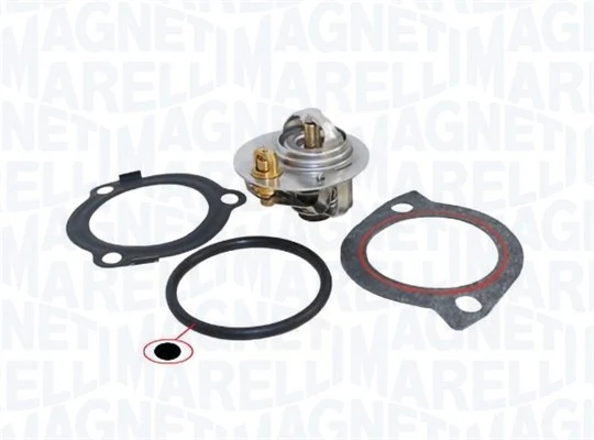 Termostat,lichid racire